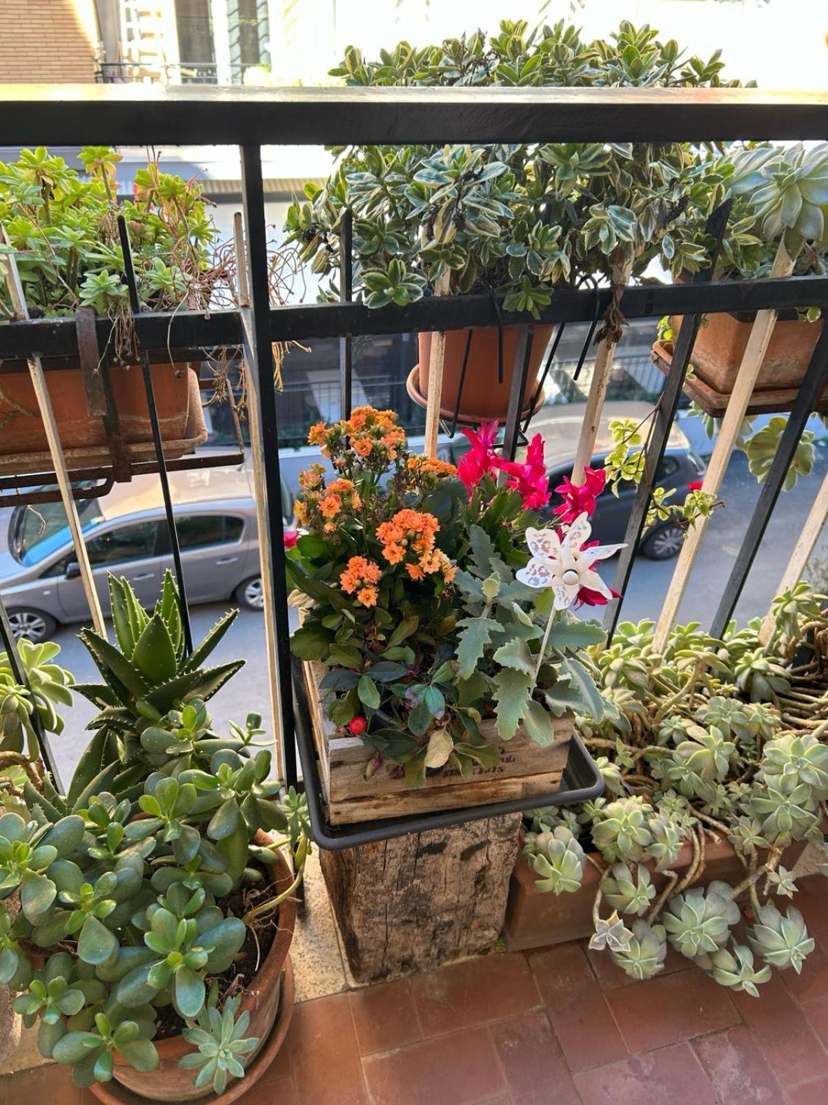 Semini Di Nostalgia Appartement *
